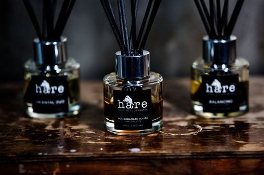 3 Months Gift Subscription to the Diffuser Harebox